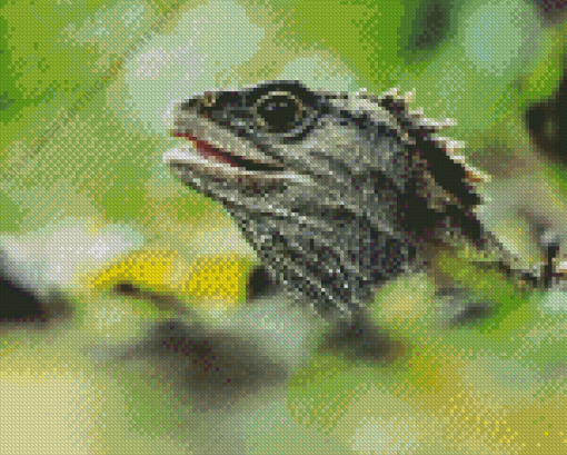 Tuatara Head Diamond Painting