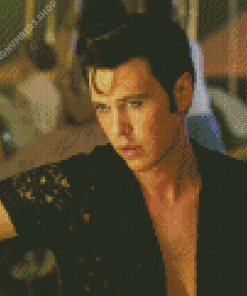 Vintage Austin Butler In Elvis Diamond Painting