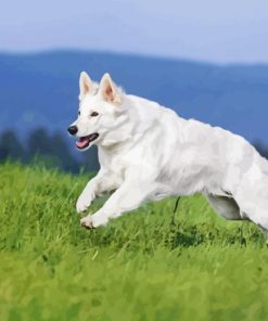 White Shepherd Diamond Painting