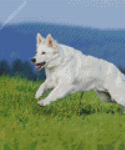 White Shepherd Diamond Painting