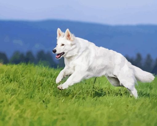 White Shepherd Diamond Painting