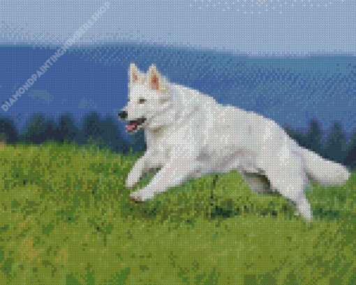 White Shepherd Diamond Painting