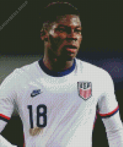 Yunus Musah Footballer Diamond Painting