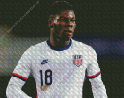 Yunus Musah Footballer Diamond Painting