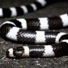 Black And White Snake Diamond Painting