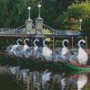 Boston Swan Boats Diamond Painting