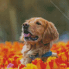 Brown Dog In Tulips Field Diamond Painting