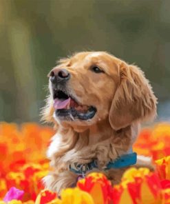 Brown Dog In Tulips Field Diamond Painting