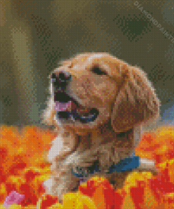 Brown Dog In Tulips Field Diamond Painting