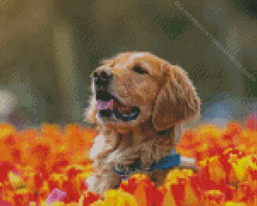 Brown Dog In Tulips Field Diamond Painting