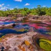 Cano Cristales Diamond Painting