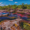 Cano Cristales Diamond Painting