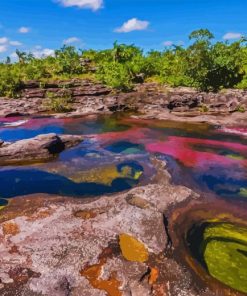 Cano Cristales Diamond Painting