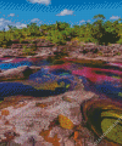 Cano Cristales Diamond Painting