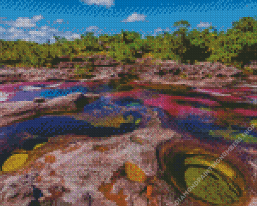 Cano Cristales Diamond Painting