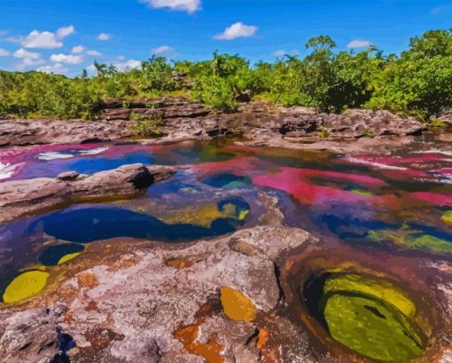 Cano Cristales Diamond Painting