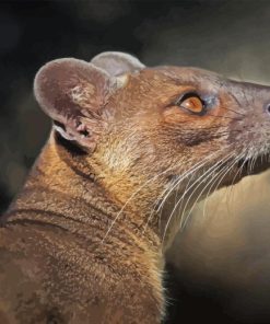 Fossa Animal Diamond Painting