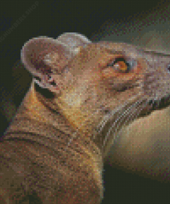 Fossa Animal Diamond Painting