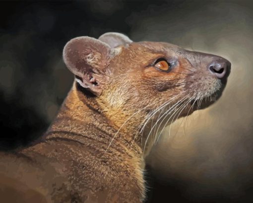 Fossa Animal Diamond Painting