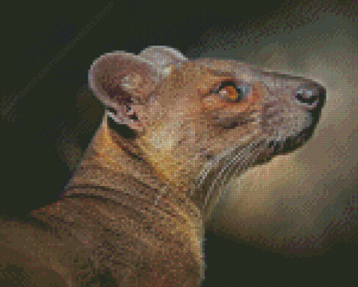 Fossa Animal Diamond Painting