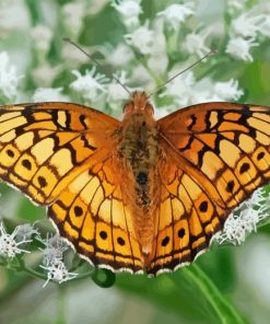 Fritillary Diamond Painting