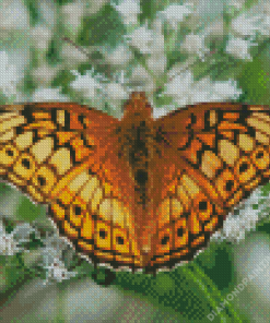 Fritillary Diamond Painting