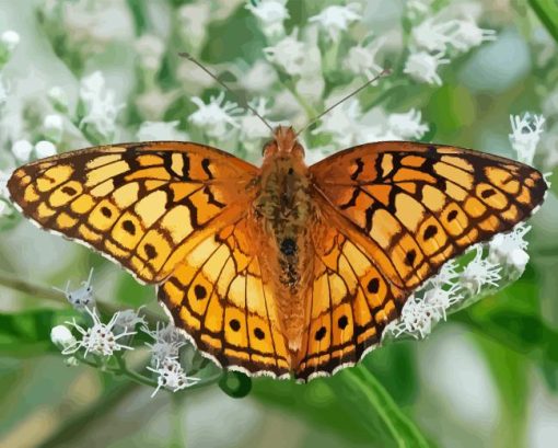 Fritillary Diamond Painting