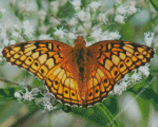 Fritillary Diamond Painting