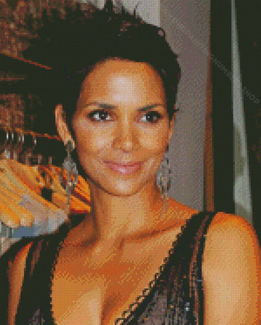 Halle Berry Diamond Painting