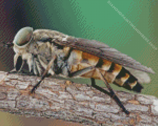 Horse Fly Diamond Painting