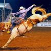 Horse Rodeo Diamond Painting