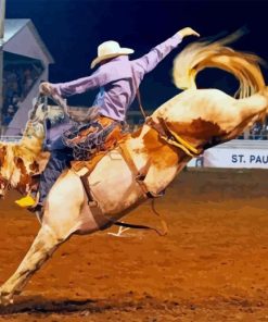 Horse Rodeo Diamond Painting