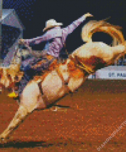 Horse Rodeo Diamond Painting