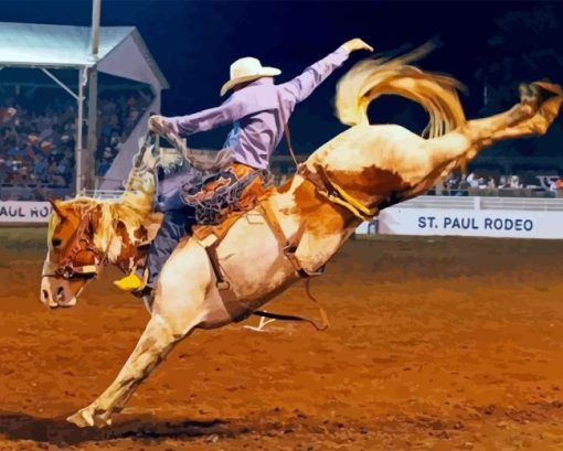 Horse Rodeo Diamond Painting