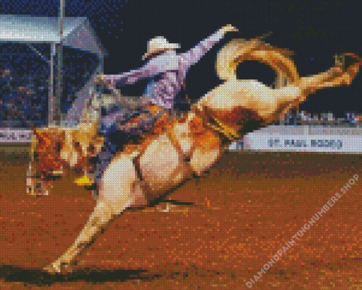 Horse Rodeo Diamond Painting