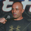 Joe Rogan Diamond Painting