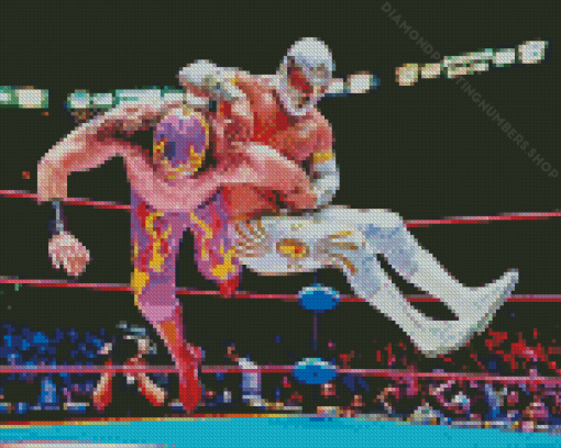 Lucha Libre Diamond Painting