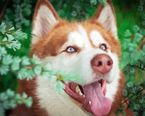 Red Husky Dog Diamond Painting