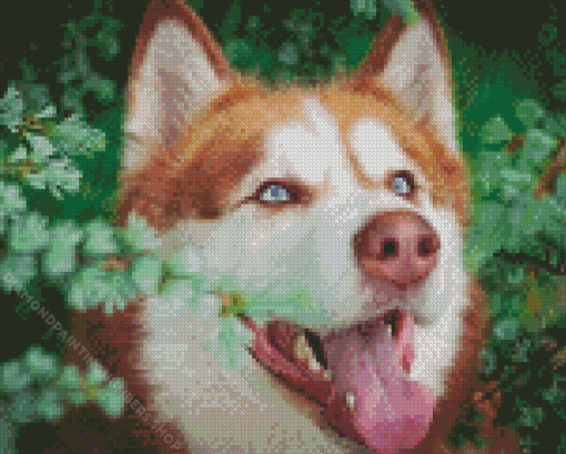 Red Husky Dog Diamond Painting