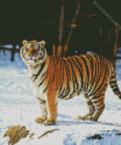 Siberian Tiger In Snow Diamond Painting