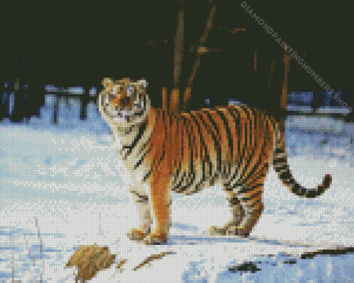 Siberian Tiger In Snow Diamond Painting