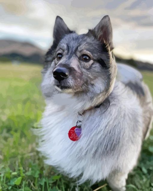 Swedish Vallhund Diamond Painting