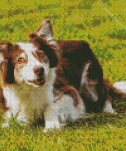 Welsh Sheepdog Diamond Painting