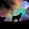 Wolf With Moon Diamond Painting