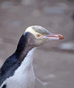 Yellow Eyed Penguin Diamond Painting