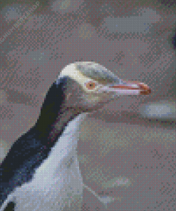 Yellow Eyed Penguin Diamond Painting