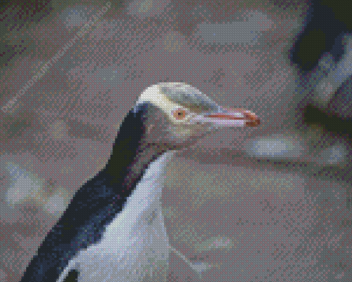 Yellow Eyed Penguin Diamond Painting