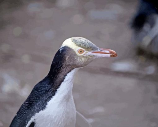 Yellow Eyed Penguin Diamond Painting