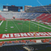 Camp Randall Diamond Painting