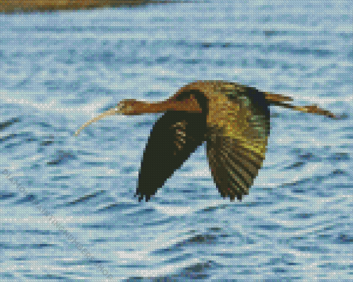 Flying Black Ibis Diamond Painting